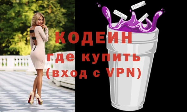 сатива Покачи