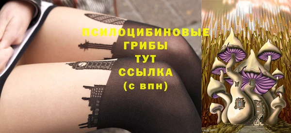 сатива Покачи