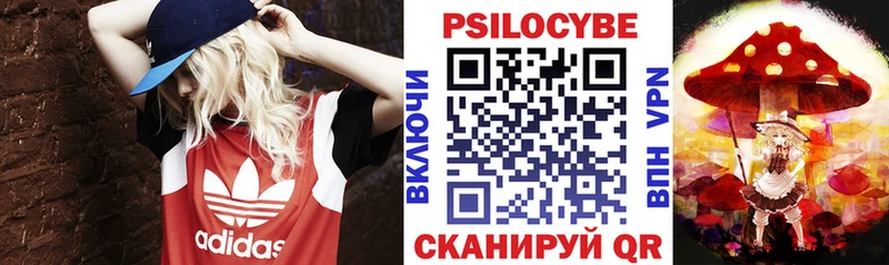 Псилоцибиновые грибы мицелий  Приозерск 